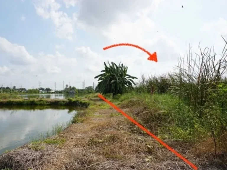 ขาย ที่ดิน ตลำไทร อลำลูกกา จังหวัดปทุมธานี เนื้อที่ 300 ตรว