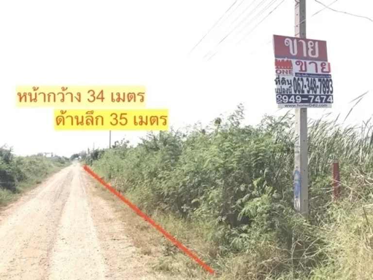 ขาย ที่ดิน ตลำไทร อลำลูกกา จังหวัดปทุมธานี เนื้อที่ 300 ตรว