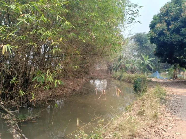 ขายที่ดินติดถนนเลียบรถไฟหลายแปลง