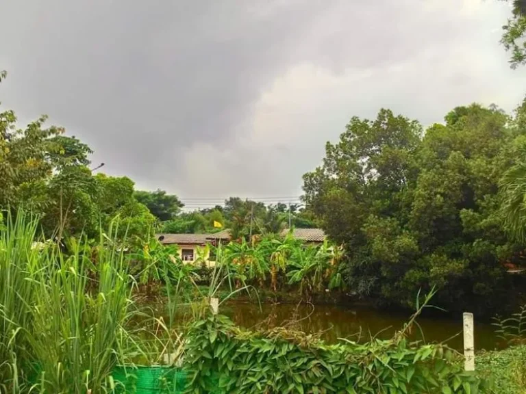 ขายที่ดินติดเลียบคลองชลประทาน สุเทพ