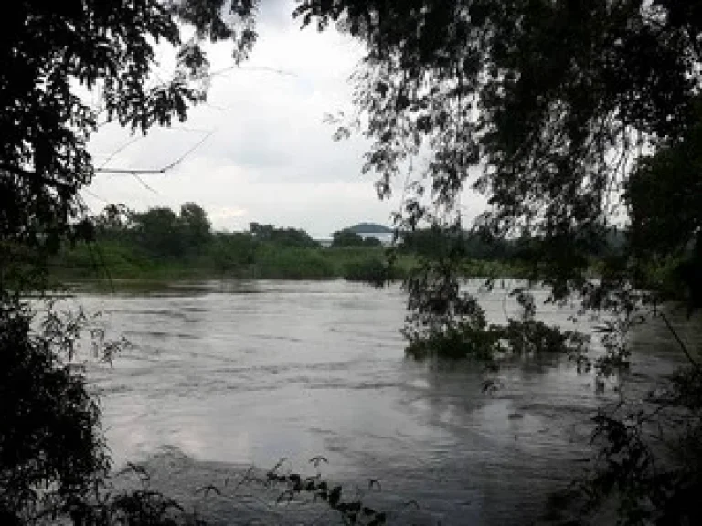 ขายที่ดินติดแม่น้ำป่าสัก ตำบลหินซ้อน อำเภอแก่งคอย จังหวัดสระบุรี ที่ดินจำนวน 1120 ไร่