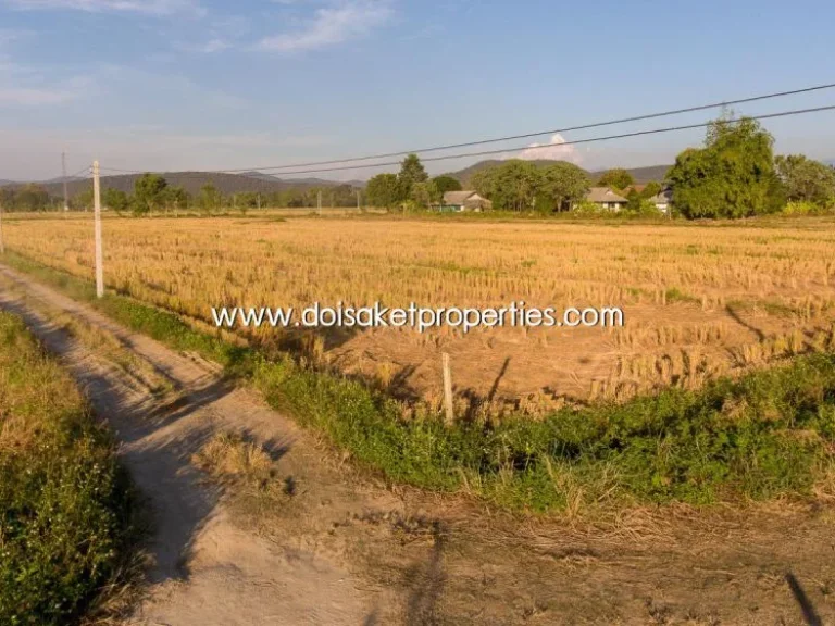 ที่นาวิวสวย โอบล้อมด้วยธรรมชาติ ป่าป้อง ดอยสะเก็ด