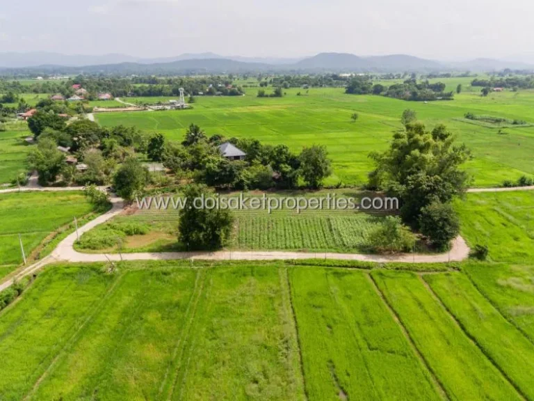 ที่ดินเปล่า ล้อมรอบด้วยธรรมชาติ วิวทุ่งนาและภูเขา ติดลำเหมือง