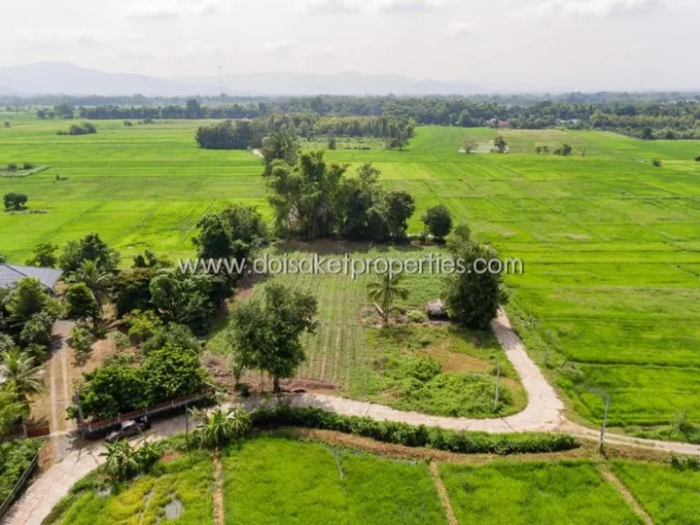 ที่ดินเปล่า ล้อมรอบด้วยธรรมชาติ วิวทุ่งนาและภูเขา ติดลำเหมือง