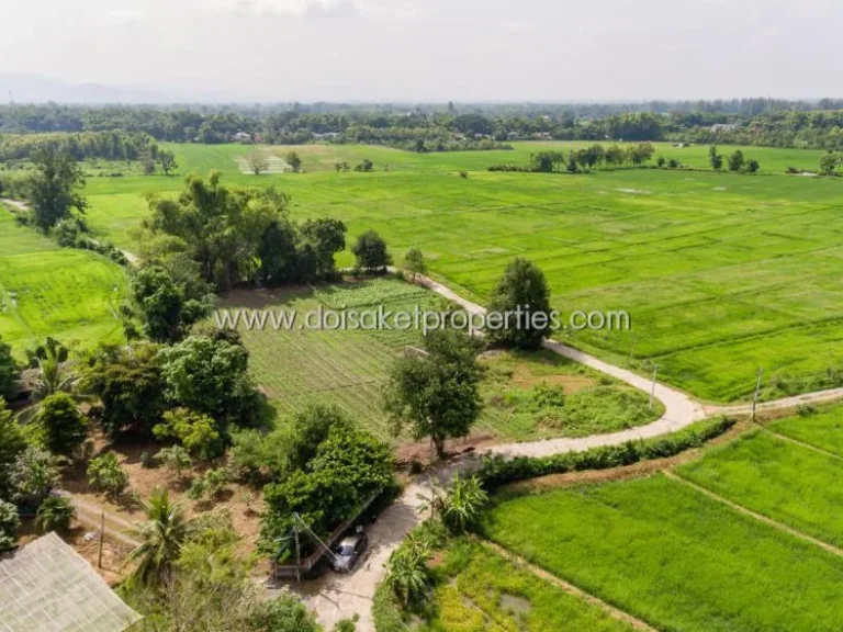 ที่ดินเปล่า ล้อมรอบด้วยธรรมชาติ วิวทุ่งนาและภูเขา ติดลำเหมือง