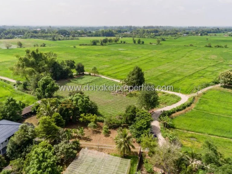 ที่ดินเปล่า ล้อมรอบด้วยธรรมชาติ วิวทุ่งนาและภูเขา ติดลำเหมือง