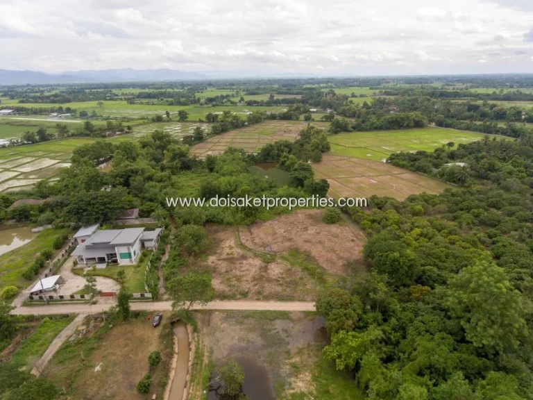 ที่ดินแปลงสวย เหมาะแก่การลงทุน วิวภูเขาและทุ่งนา ตป่าป้อง