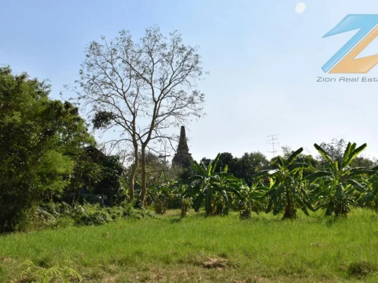 ขายที่ดินสวยริมน้ำ 4 ไร่ ตสวนพริก อพระนครศรีอยุธยา