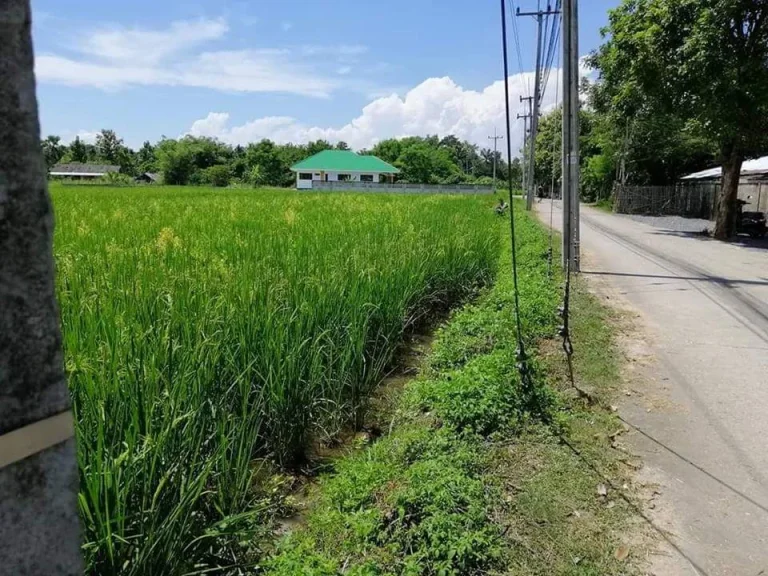 ขายที่ดินจัดสรรไกล้กุลพันธ์ 9 หางดง