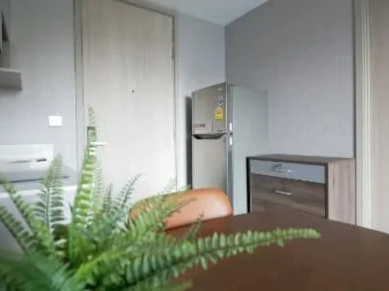 Condo For Rent Whizdom Connect Sukhumvit 17000THBMonth