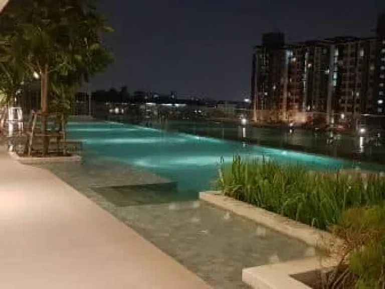 Condo For Rent Whizdom Connect Sukhumvit 17000THBMonth