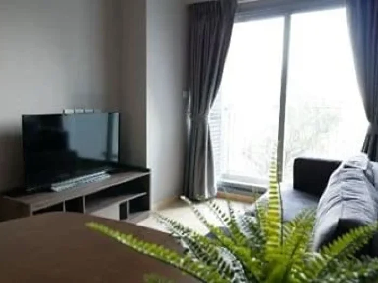 Condo For Rent Whizdom Connect Sukhumvit 17000THBMonth