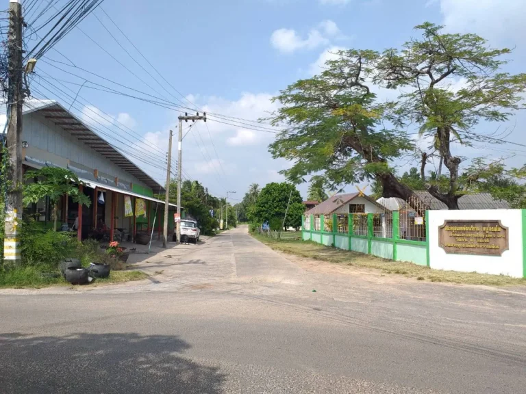 ที่ดินใกล้โรงเรียนบ้านหนองหว้า 100 เมตร