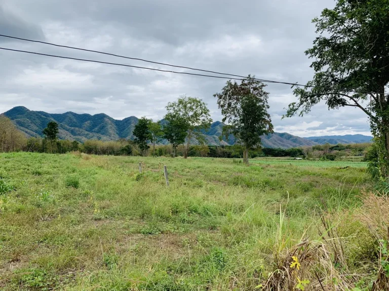 ขายที่ดินวิวภูเขา อากาศดี เหมาะทำที่อยู่อาศัย บ้านพักตากอากาศ ทำเกษตร จัดสรรแบ่งแปลง อยู่ใน อเมือง เพชรบูรณ์