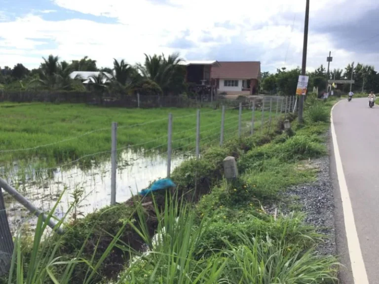 ขายที่ดินติดถนนสองด้าน แช่ช้าง เห็นวิวดอย