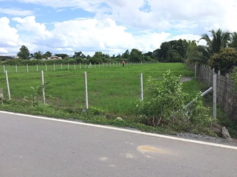 ขายที่ดินติดถนนสองด้าน แช่ช้าง เห็นวิวดอย