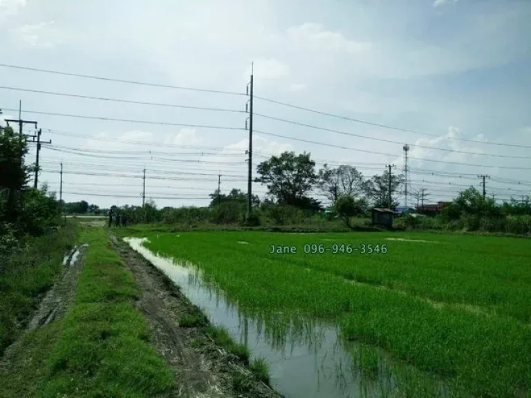 ขายที่ดิน 40-0-70 ไร่ ติดถนนสุวินทวงศ์ อบางน้ำเปรี้ยว พื้นที่สีม่วง จากแปดริ้วมาคือ กม16