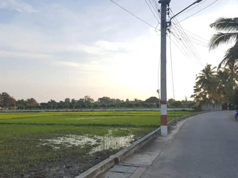 ขายที่ดินห่างเทศบาลหางดง 2 km