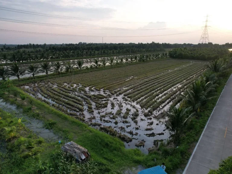 ขายที่ดิน 4 ไร่ ราคาไร่ละ 1 ล้านบาท คลอง 17 ติดถนนคอนกรีตใกล้แยกไผ่ดำ 6 กม จฉะเชิงเทรา