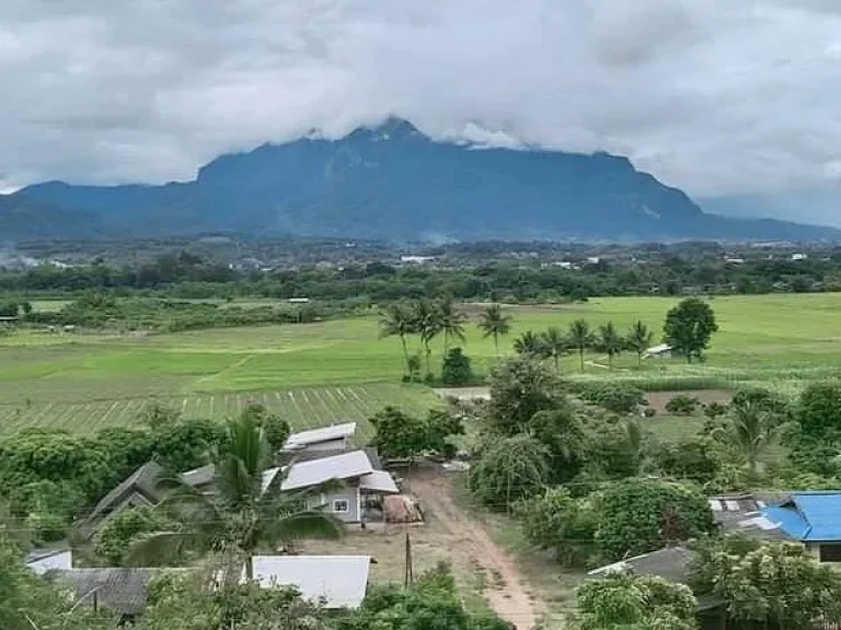 ขายที่ดินติดถนน หลังติดวิวดอยหลวง เชียงดาว ราคาถูก