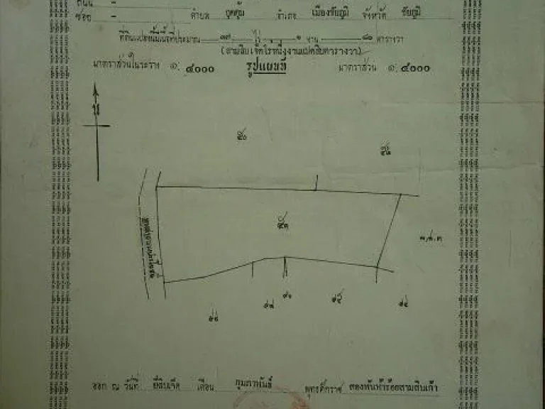 ขายเองครับ 375 ไร่