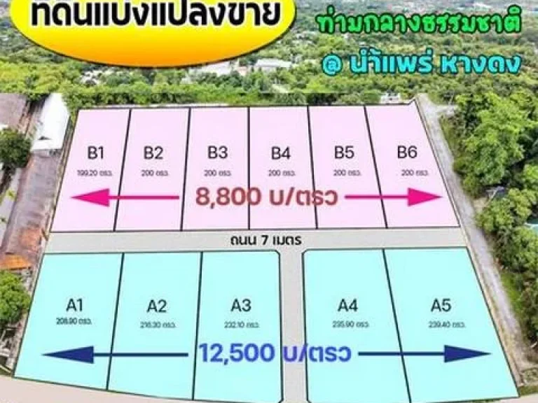 ที่ดินแบ่ง 200ตรว เริ่มตรว8800บ น้ำแพร่ หางดง ชม