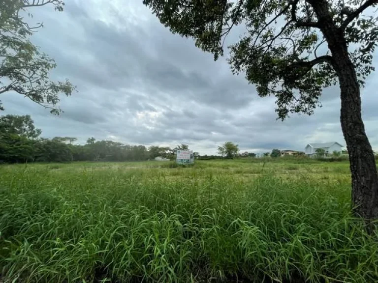 ขายที่ดินหัวมุม หมู่บ้านกรีนวัลเล่ย์ บางนา-ตราด