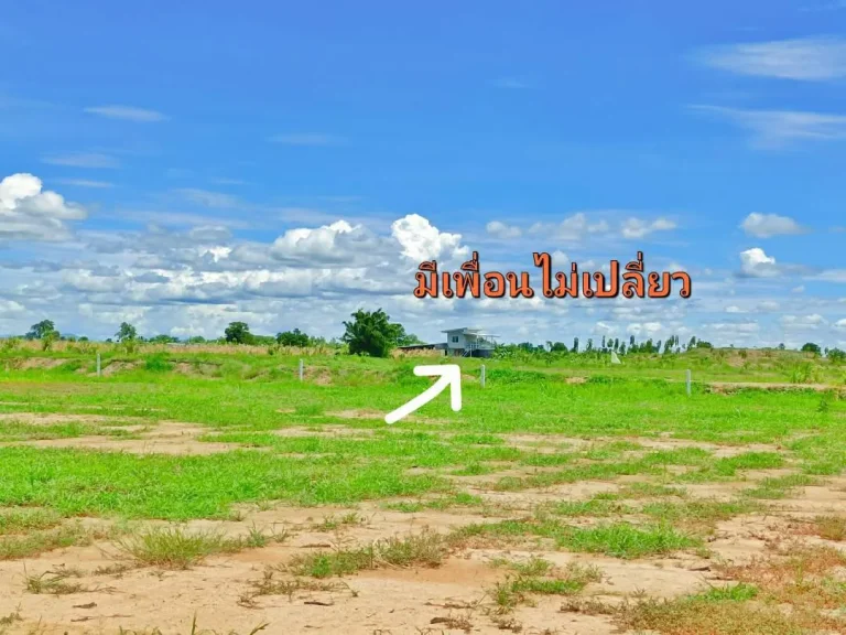 ขายที่ดินแปลงสวย จสุพรรณ ทำเลดีบรรยกาศดีเหมาะสร้างบ้านสวน ขุดบ่อโคกหนองนา มีไฟฟ้าปะปาพร้อม