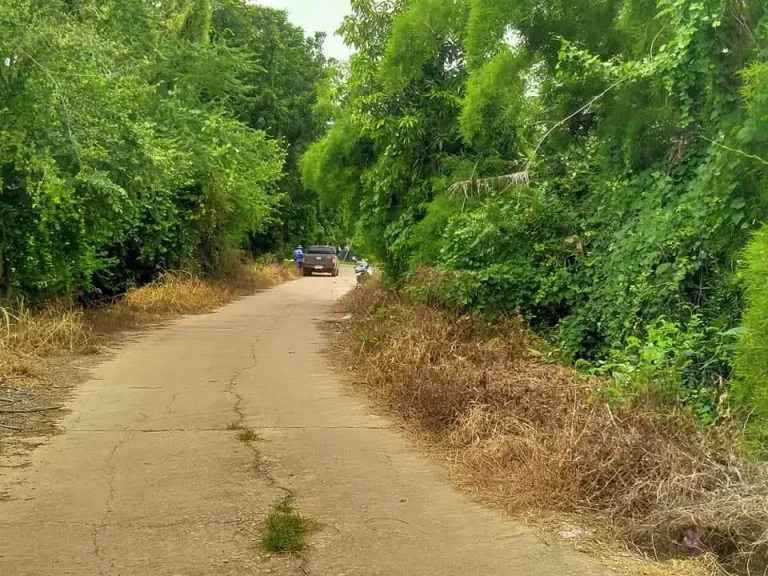 ขายที่ดินทำเลสวย สำหรับทำบ้านสวนเกษตร