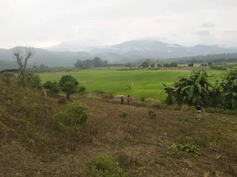 ขายที่ดินวิวดอยหลวง บ้านแม่อ้อ เชียงดาว โฉนดพร้อมโอน