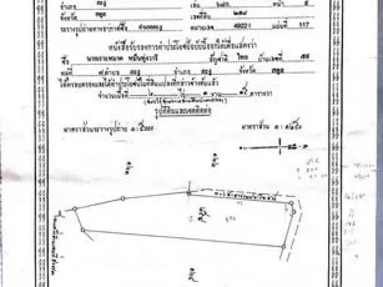 ขายด่วน ที่ดินสวนยาง อละงู จสตูล