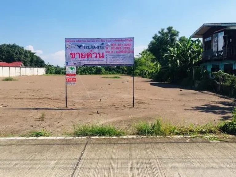 ขายที่ดินเปล่า 300 ตรวจปทุมธานี