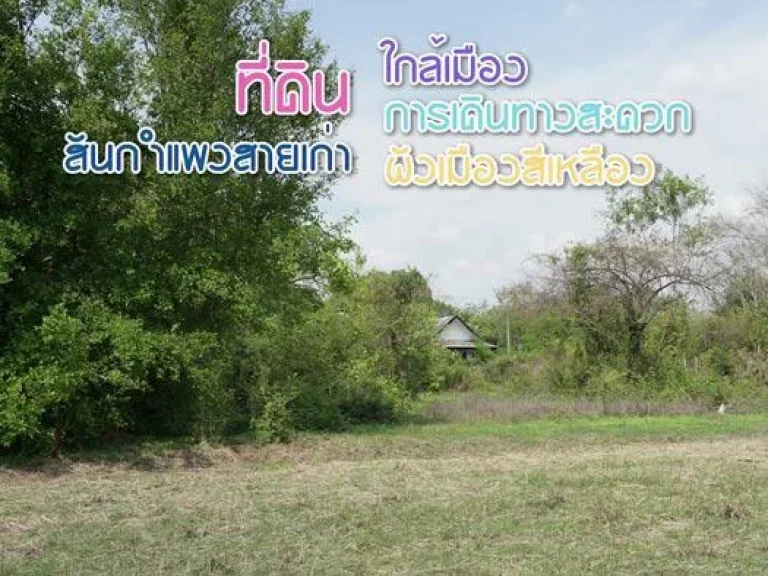 ขายที่ดินใกล้เมือง สันกำแพงสายเก่า ผังเมืองสีเหลือง การเดินทางสะดวก