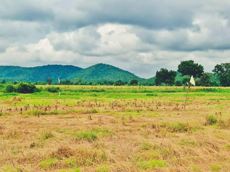 ขายที่ดินวิวเขาสวย ใกล้วัดเขาดีสลัก บรรยากาศดีทำเลดีเหมาะสร้างบ้านสวนมีไฟฟ้าปะปาพร้อม ครุฑแดง