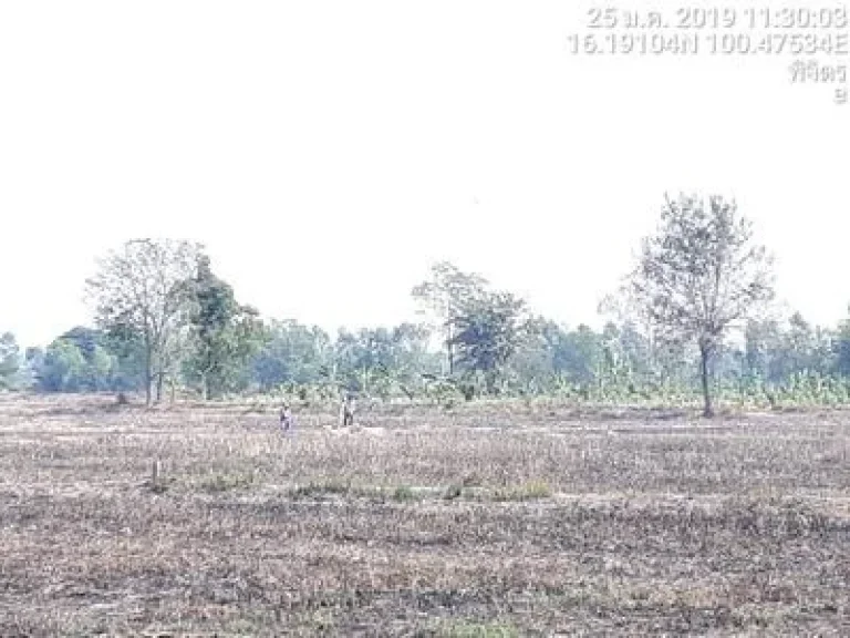 ที่ดิน ตำบลวังหลุม อำเภอตะพานหิน จังหวัดพิจิตร