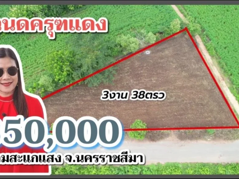 ขายที่ดินโฉนด ติดถนนลาดยาง ตขามสะแกแสง 338 ตรว 350000