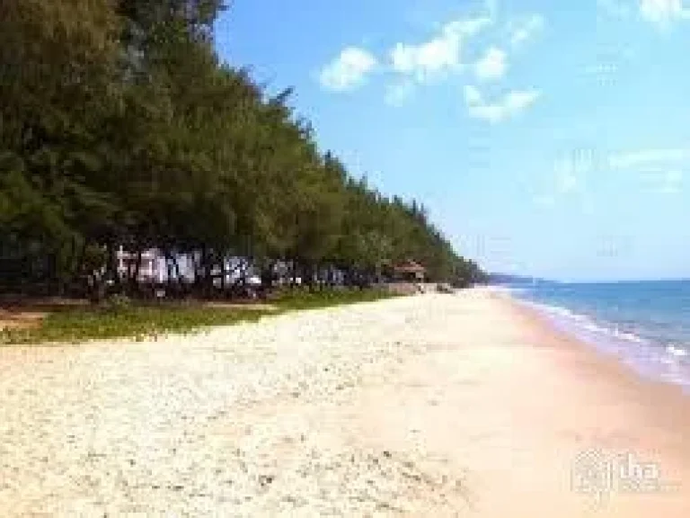  ขายที่ดินติดทะเล หาดพลา บ้านฉาง ชายหาดส่วนตัว โฉนด 30 ไร่ 