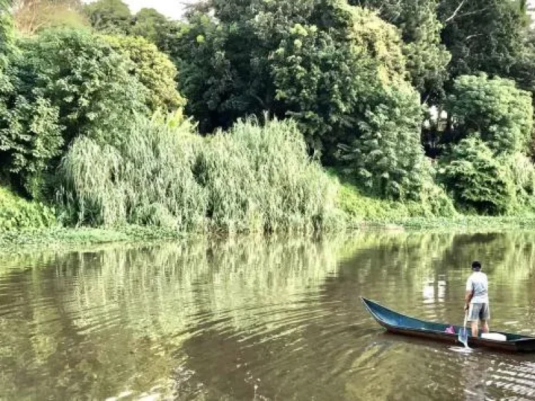 ที่ดินติดแม่น้ำปิง ใกล้เมือง ใกล้ศูนย์ราชการ เชียงใหม่