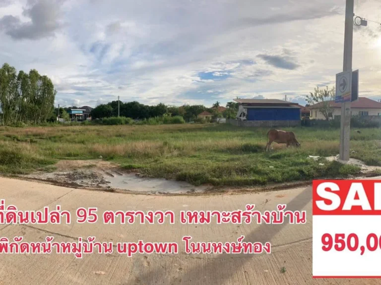 ขายที่เปล่า95ตรวเหมาะสร้างบ้าน