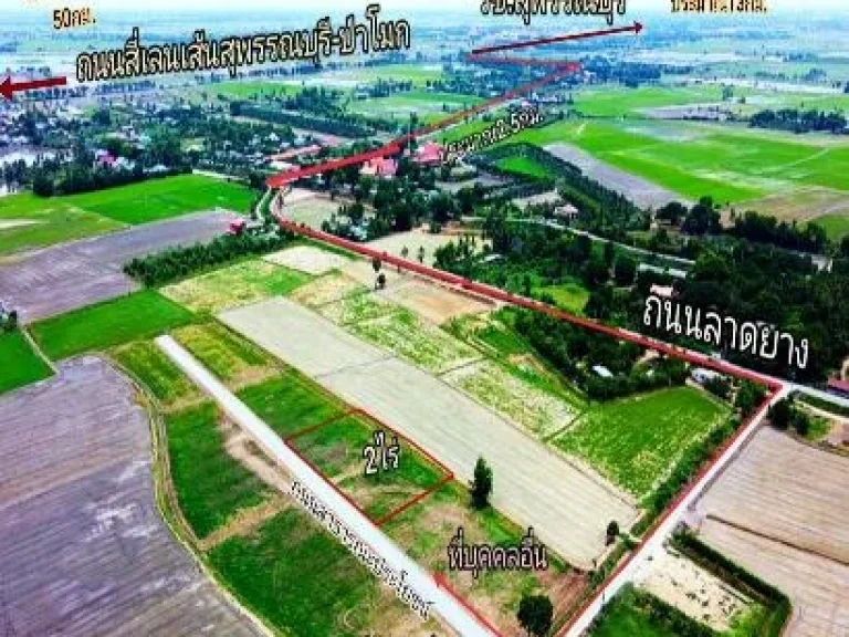 2ไร่ โคกโคเฒ่า อเมือง สุพรรณบุรี