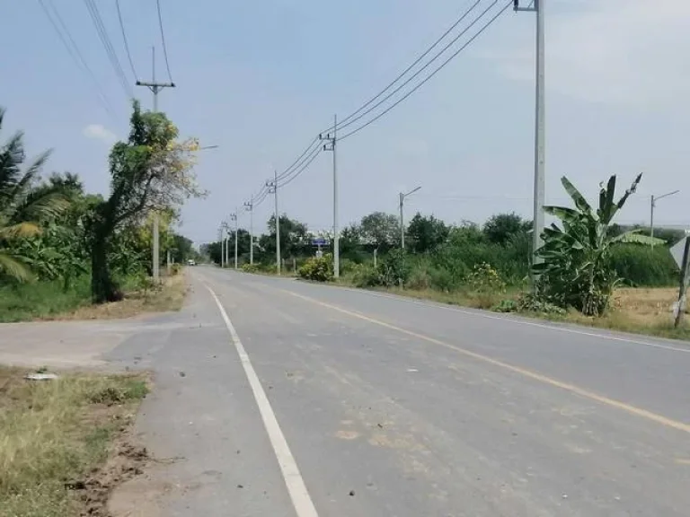 ขายที่ดิน 191 ตรว บางเตย สามโคก ปทุมธานี