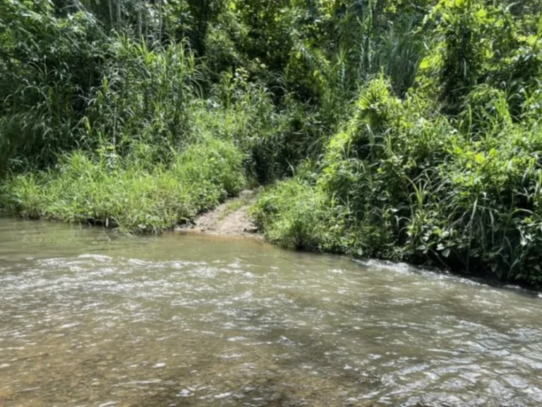 ขายที่ดินติดลำธารน้ำ สะเมิงใต้ บ้านน้ำริน เอกสารนส3