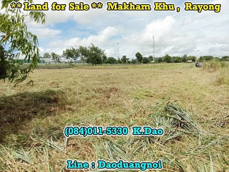 Land for Sale Makham Khu Rayong Beautiful Rectangular Size