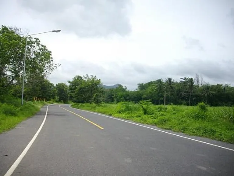 ขายที่ดิน4ไร่2งานโฉนดติดถนนลาดยางมมีเพื่อนบ้านไฟฟ้าประปาพร้อม อชัยบาดาล จลพบุรี