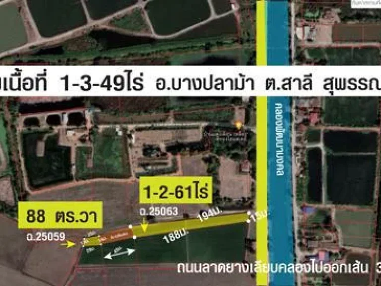 ที่ดิน อบางปลาม้า ตสาลี สุพรรณบุรี 1ไร่ 3 งาน 49 ตารางวา