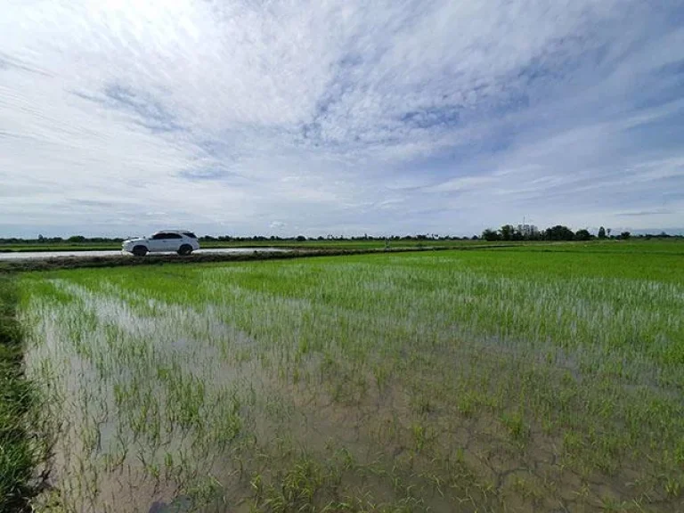 บรรยากาศวิวธรรมชาติท้องทุ่งนา ติดทาง ติดคลองส่งน้ำ 63 ไร่