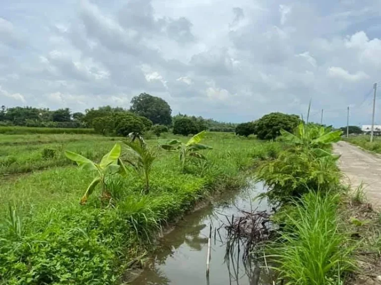 ขายที่สวนบ้านแม สันป่าตอง ติดถนนพร้อมโอน