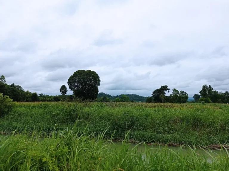 ที่ดิน อบ้านนา ตเขาเพิ่ม นครนายก ขายทั้งแปลง 10 ไร่ วิวเขา ติดคลองส่งน้ำ