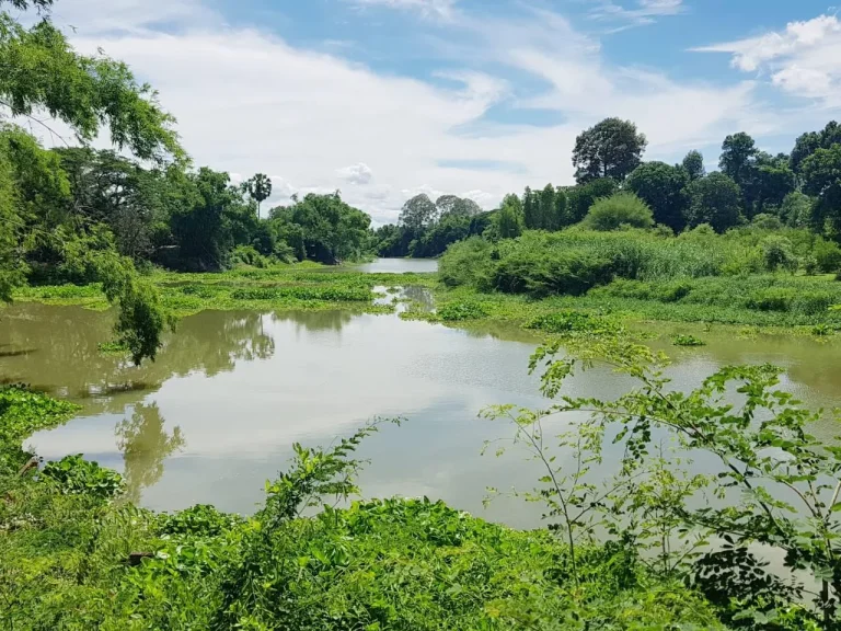 ขายที่ดินริมแม่น้ำสุพรรณ ใกล้ถนน340 นิดเดียว สวยมาก