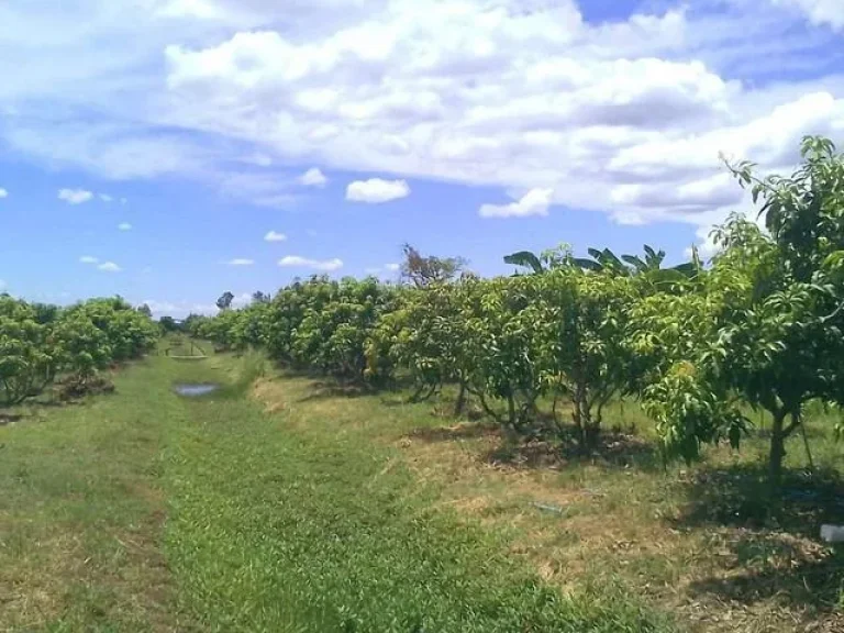 ขายด่วนบ้านพร้อมที่ดิน เจ้าของขายเอง จสุพรรบุรี